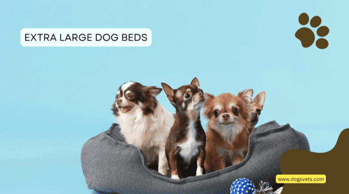 Supreme Comfort: Exploring Extra Large Dog Beds for Your Pup